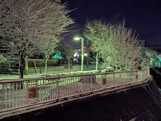 PXL_20240124_204607657.jpg
