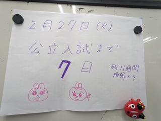 PXL_20240227_133519776.jpg