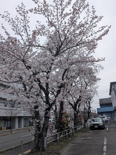 PXL_20250410_030307202.jpg