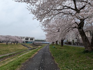 PXL_20250411_233333135.jpg