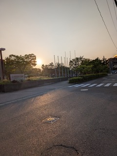 PXL_20250512_201253397.MP.jpg