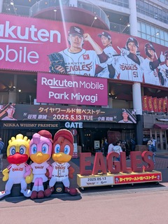 PXL_20250513_021757874.jpg