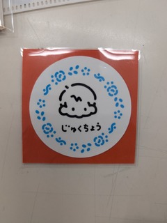 PXL_20250515_135103129.jpg